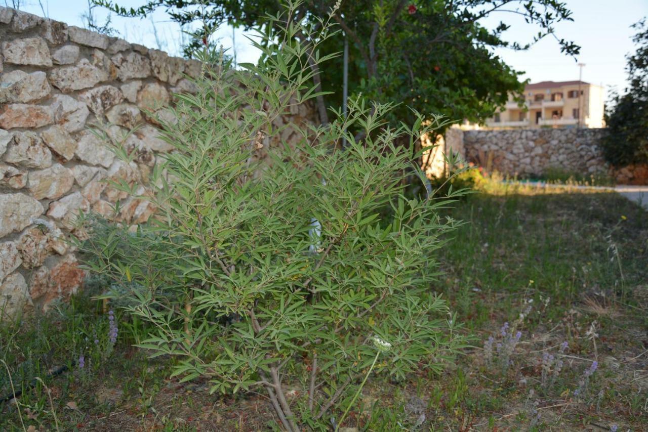 Lotus Sea View Studio Apartment 2 Lixouri Esterno foto