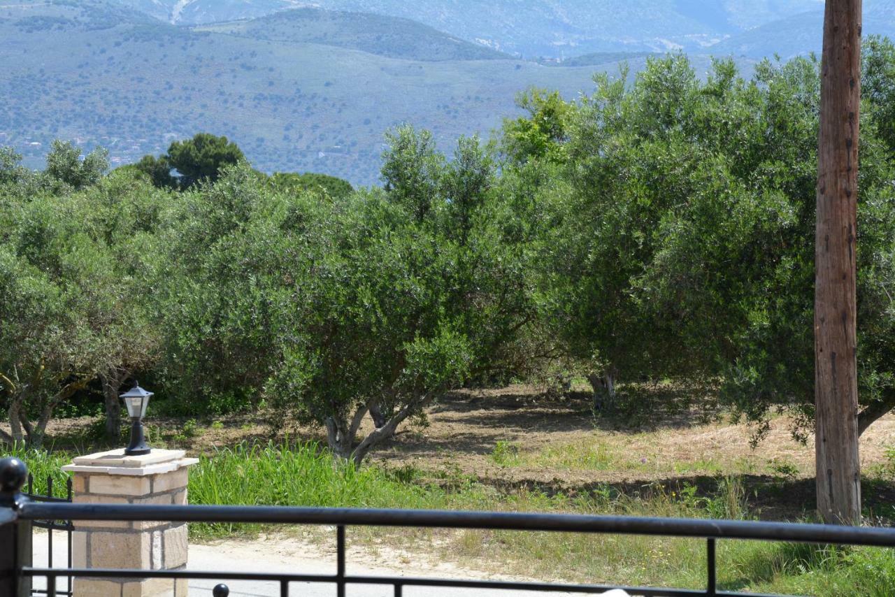 Lotus Sea View Studio Apartment 2 Lixouri Esterno foto